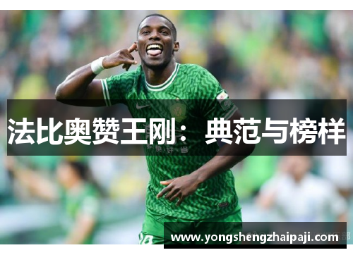 法比奥赞王刚：典范与榜样